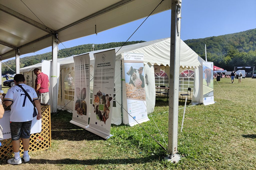 Namioty wystawiennicze stojące na trawie, na wolnym powietrzu. Pod  dachem widać w cieniu grupkę ludzi.