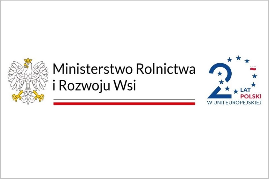 Prostokątny plakat z orłem w koronie i czarnym opisem, przedzielonym paskiem biało-czerwonym. Po prawej cyfra granatowa 2 i 0 zrobione z gwiazdek