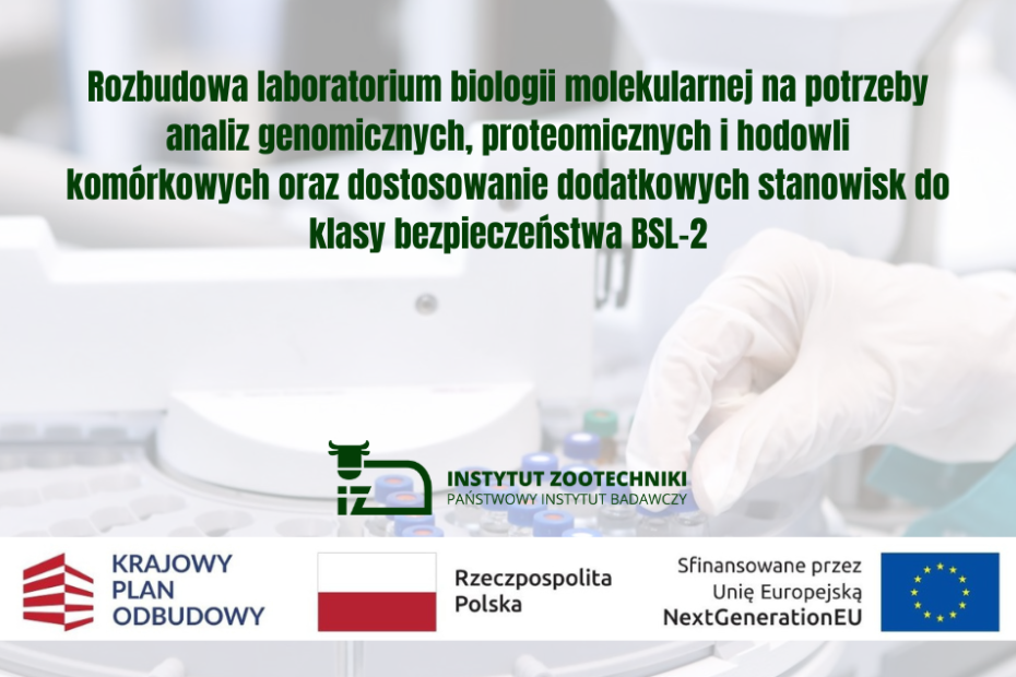 Prostokątny plakat z tytułem projektu. Logo z zielonym bykiem i napis Instytut Zootechniki Państwowy Instytut Badawczy. Poniżej czerwono-białe logo Krajowego Planu Odbudowy, biało-czerwona flaga obok napisu Rzeczpospolita Polska, logotyp Unii Europejskiej przedstawiający okrąg złożony z dwunastu złotych gwiazd na granatowym tle. W tle urządzenie laboratoryjne.