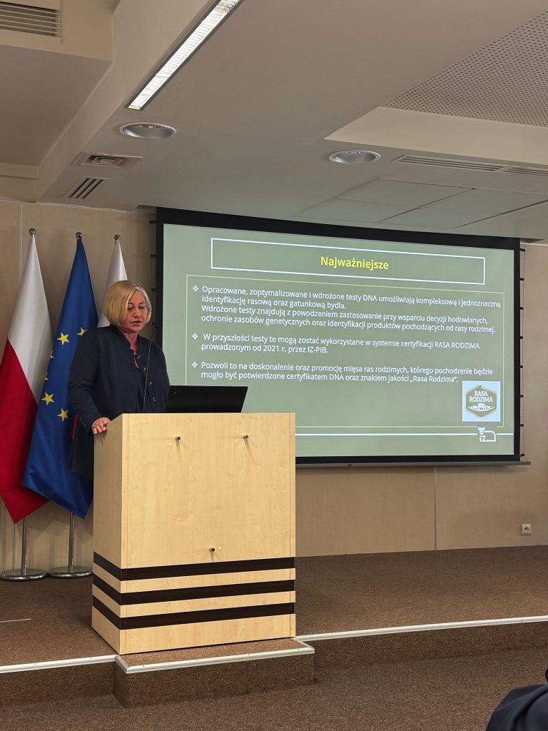 Kobieta prezentuje kluczowe informacje dotyczące testów DNA w hodowli bydła. Na ekranie wyświetlony jest slajd z najważniejszymi punktami, a w tle widoczne są flagi Polski i Unii Europejskiej.