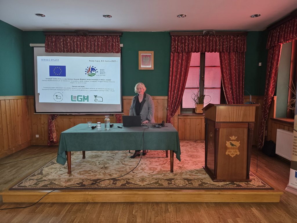 Kobieta stoi przy stole w sali konferencyjnej. Na ekranie wyświetlony jest slajd dotyczący projektu E-Byczek, a obok znajduje się drewniana mównica i baner z wizerunkiem bydła.