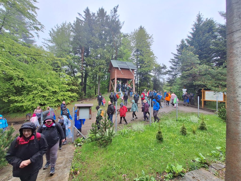 Uczestnicy Rajdu Cielaka opuszczają teren obserwatorium na Lubomirze. Kolorowy tłum turystów, ubranych w przeciwdeszczowe kurtki i peleryny, schodzi ścieżką otoczoną zielenią. W tle drewniany budynek bramy wejściowej i leśna sceneria górskiego szczytu.