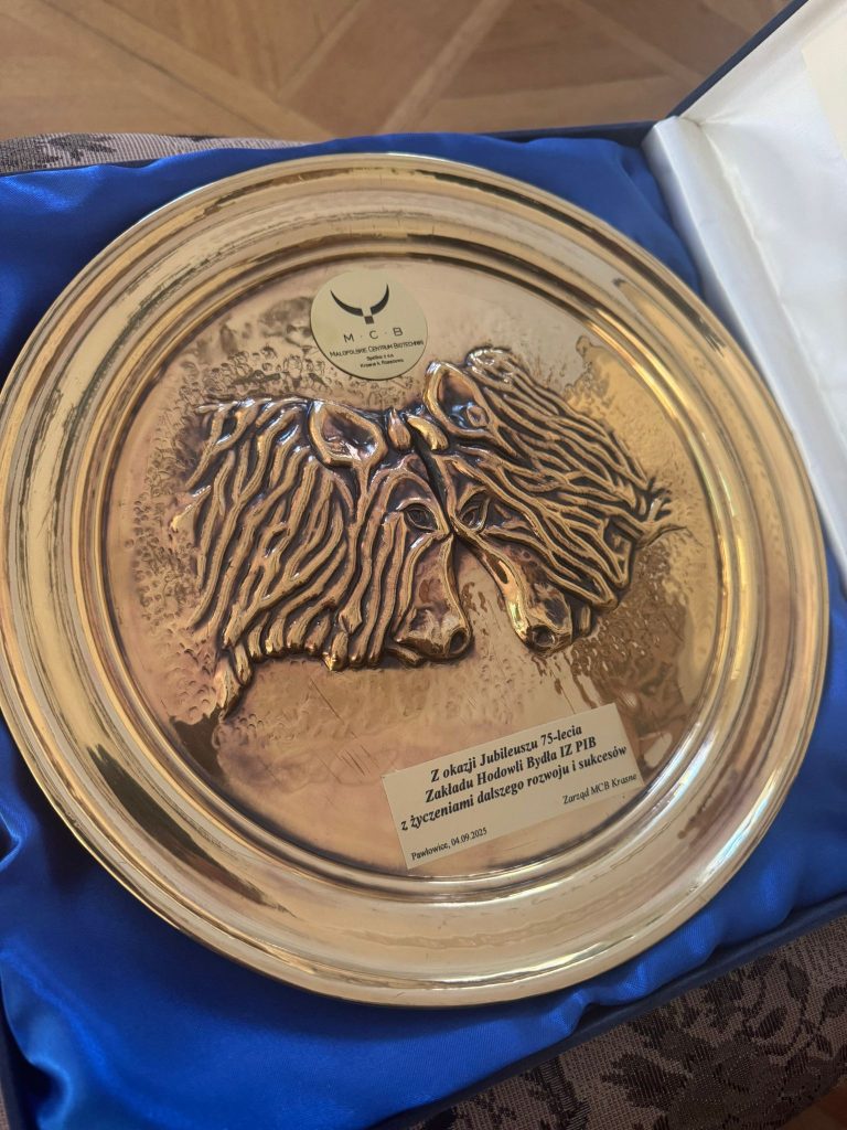 Zdjęcia z obchodów 75-lecia ZHB, obejmujące wystąpienia, uczestników konferencji, prezentacje oraz wydarzenia towarzyszące.