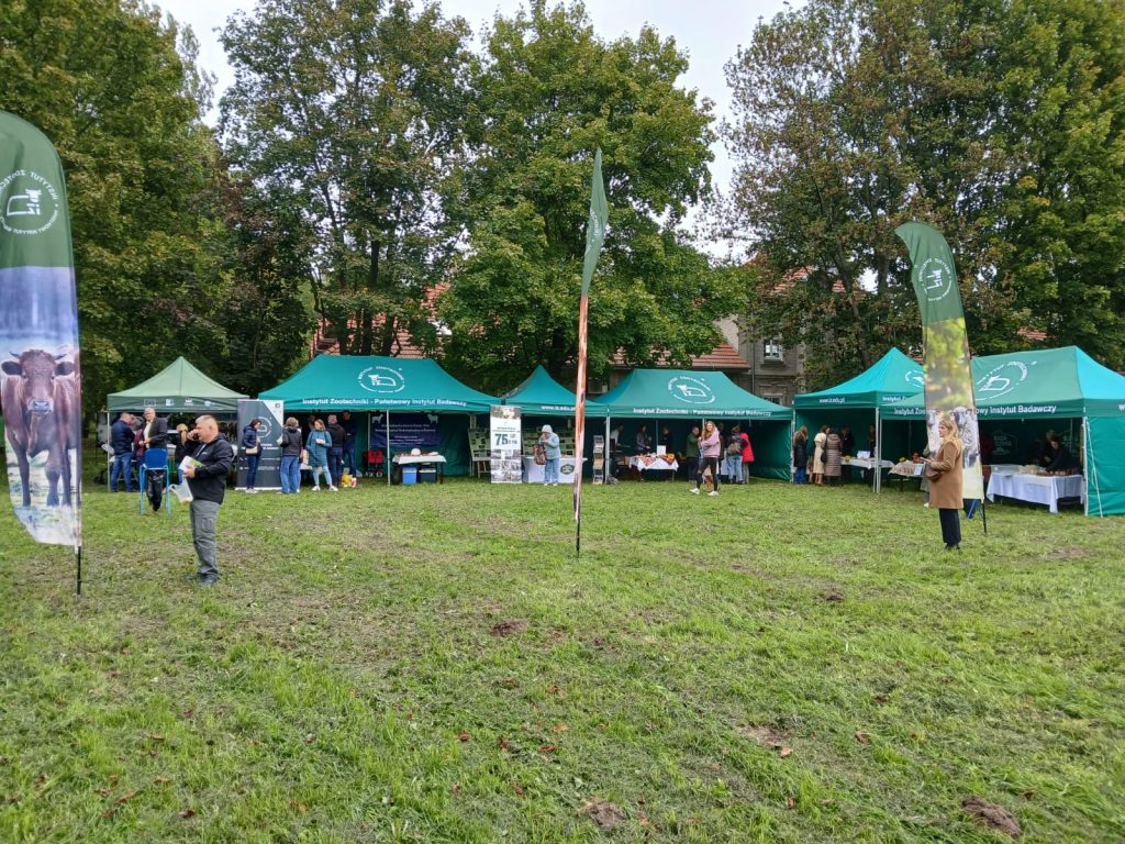 Widok na kilka zielonych namiotów Instytutu Zootechniki PIB ustawionych na trawniku, z uczestnikami wydarzenia rozmawiającymi i oglądającymi stoiska.