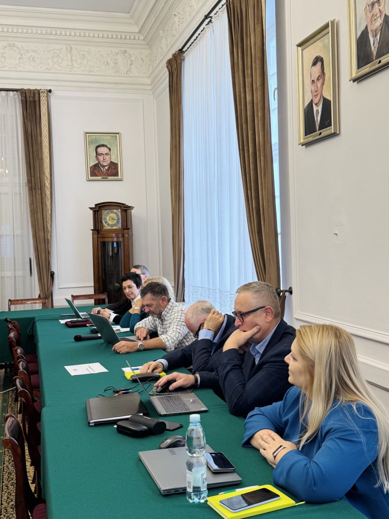 Uczestnicy spotkania przy stole z laptopami, na pierwszym planie kobieta w niebieskiej marynarce.
