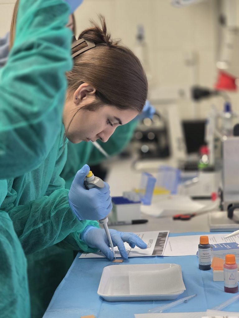 Studentka w fartuchu ochronnym i rękawiczkach precyzyjnie pracuje z pipetą przy stanowisku laboratoryjnym.