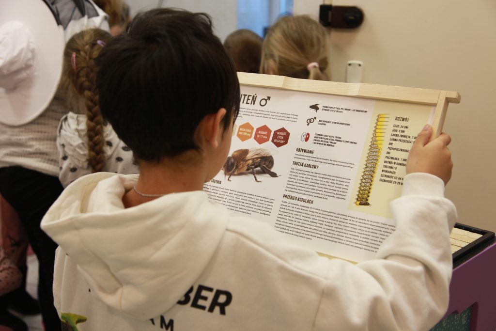 Dziecko trzyma tablicę informacyjną z ilustracją owada i czyta opis dotyczący jego budowy oraz cyklu życia, stojąc wśród innych uczestników zajęć.