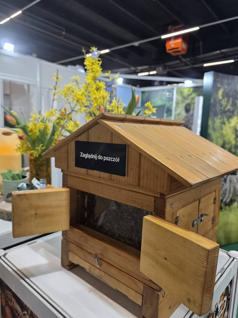Drewniany ul demonstracyjny z przeszklonym fragmentem, prezentowany na stoisku targowym z możliwością obserwacji pszczół.