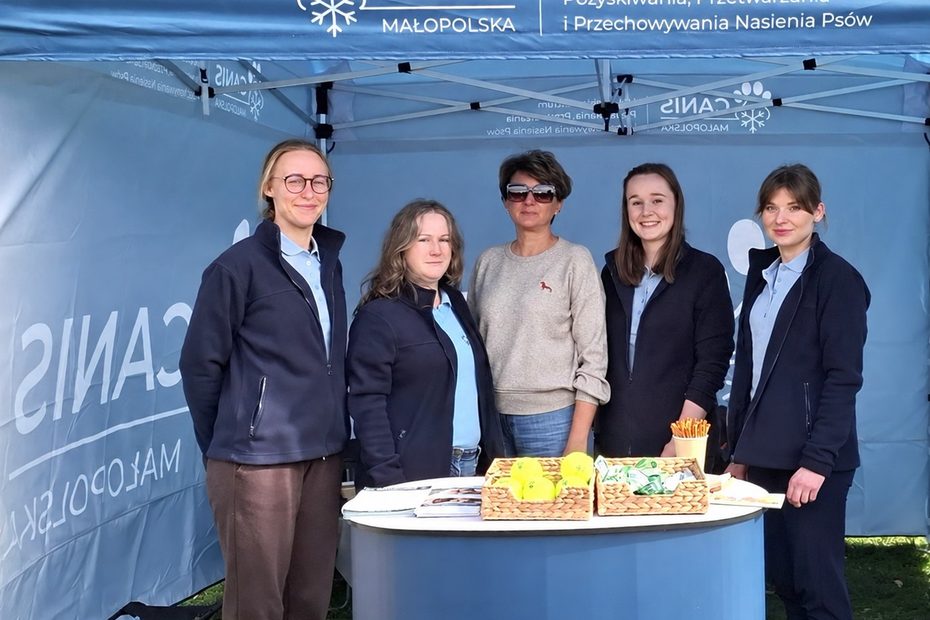 Pięć kobiet przy stoisku informacyjno-promocyjnym pod niebieskim namiotem