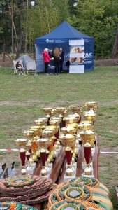 Puchary i rozety dla zwycięzców wystawy psów, w tle stoisko CANIS Małopolska