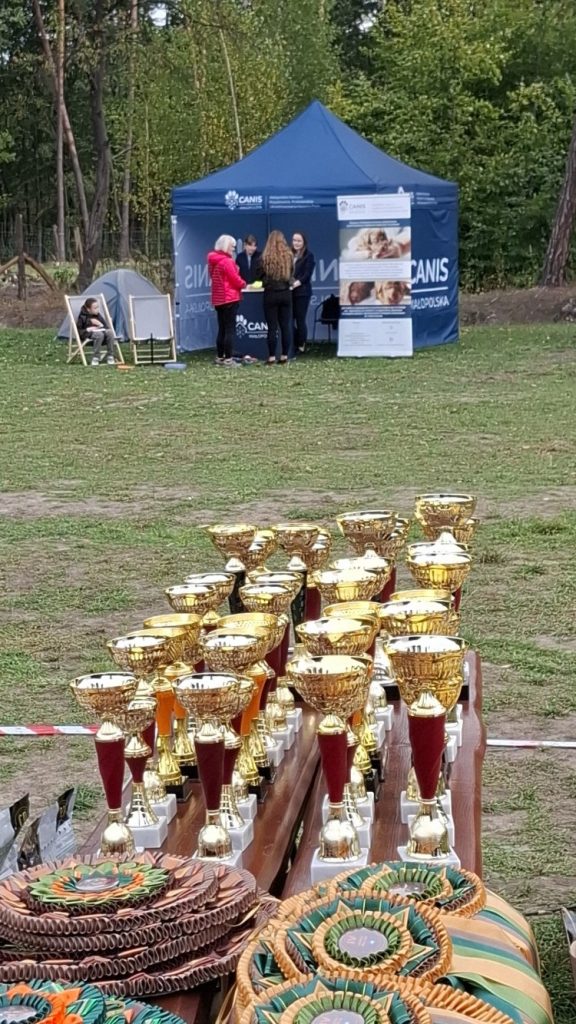 Puchary i rozety dla zwycięzców wystawy psów, w tle stoisko CANIS Małopolska
